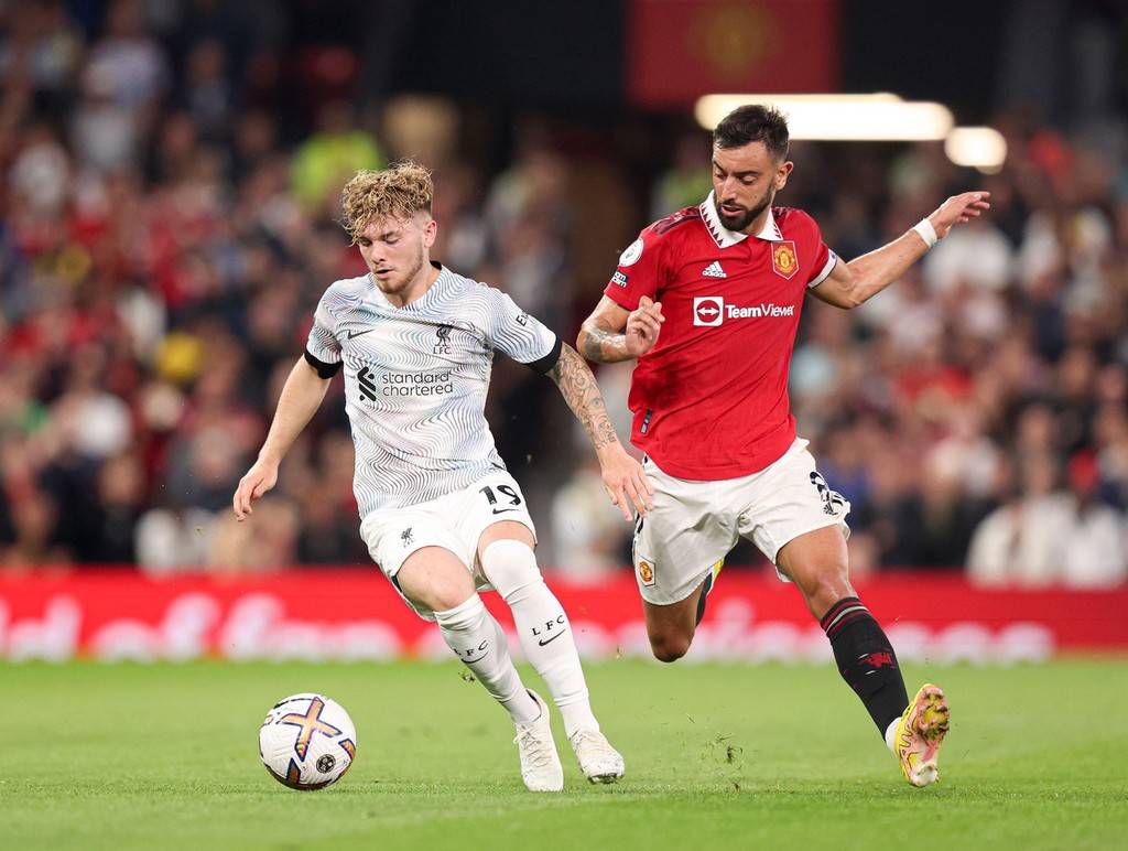 可以选择在 可以选择在