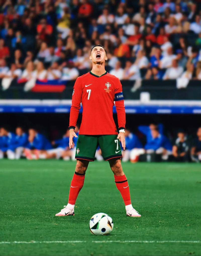 的表现如何 的表现如何